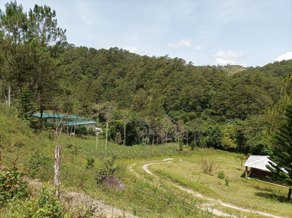 solares y terrenos - Terreno para proyecto ecoturistico en jarabacoa 8