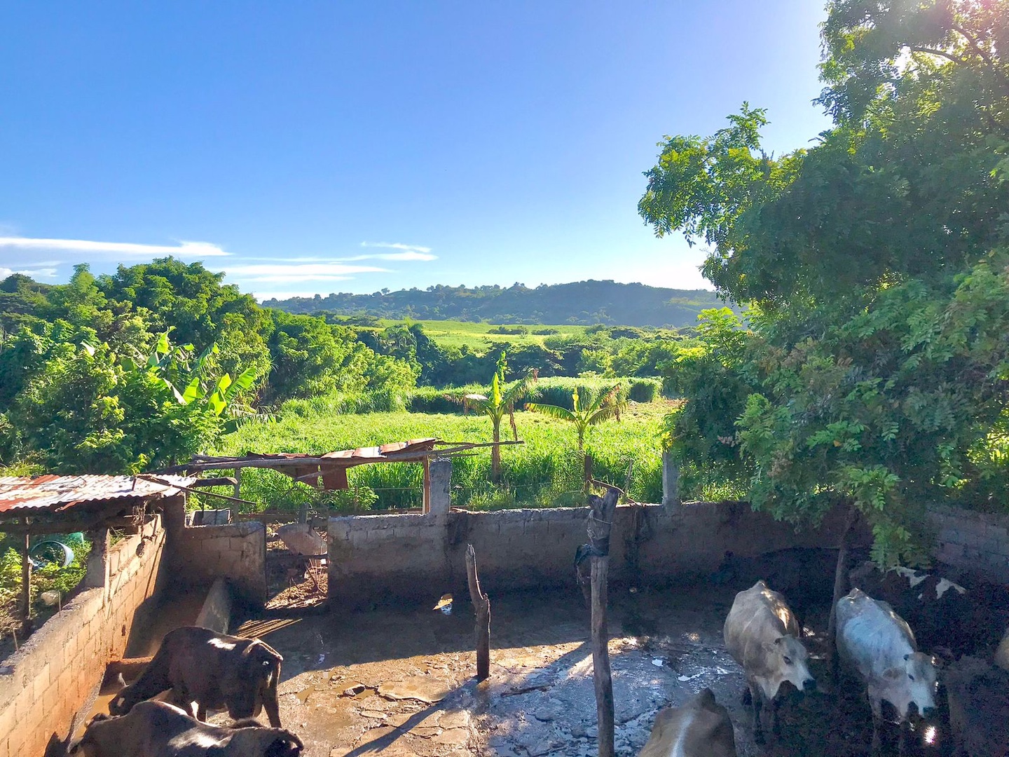 solares y terrenos - Finca en Doña Ana San Cristobal  5