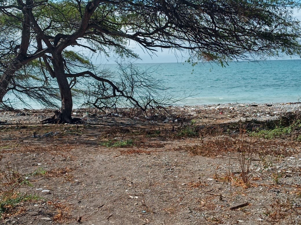 solares y terrenos - Azua, con playa, ideal desarrollo eco-turístico o de energías 0