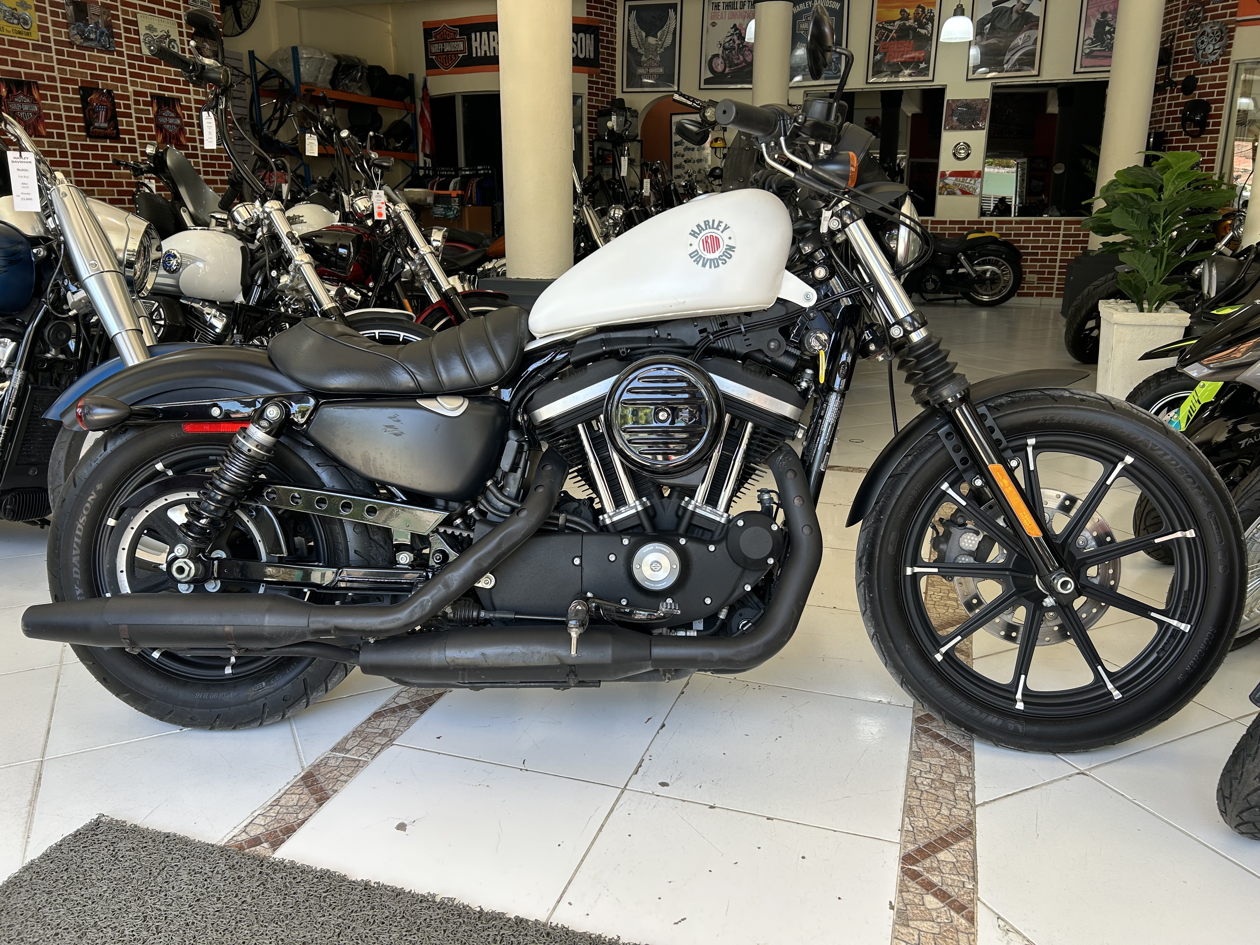 motores y pasolas - Sportster XL 883 Iron año 2022