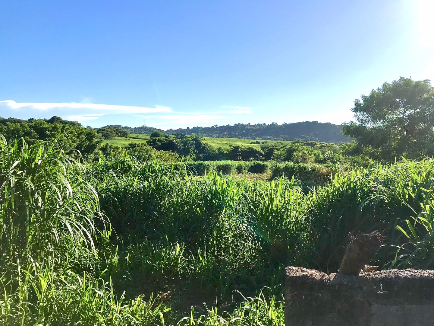 solares y terrenos - Finca en Doña Ana San Cristobal  7