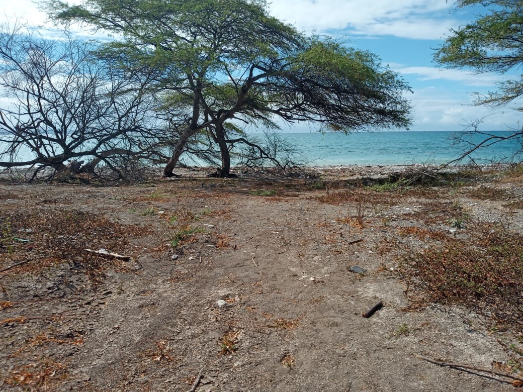 solares y terrenos - Azua, con playa, ideal desarrollo eco-turístico o de energías 2