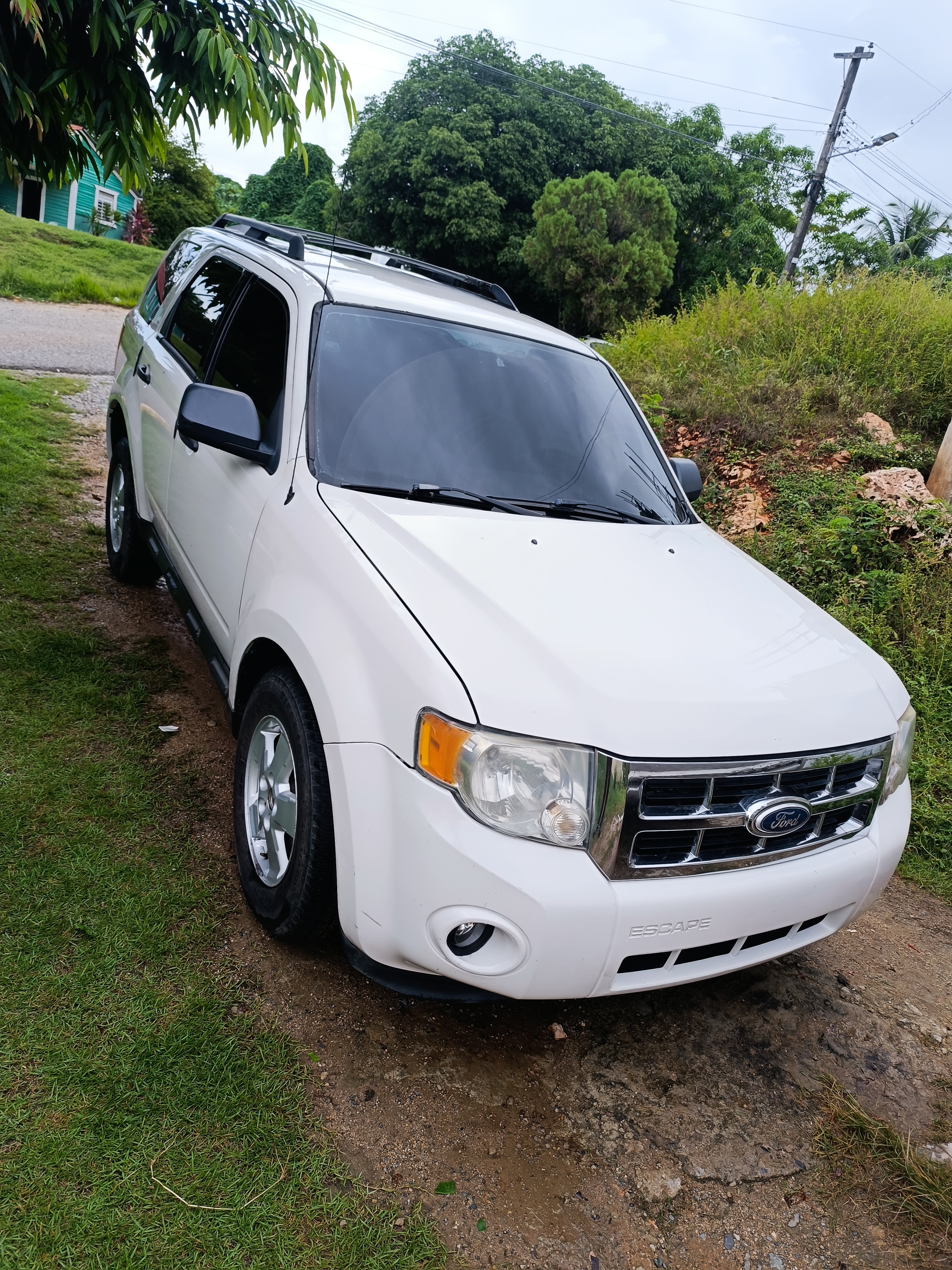 jeepetas y camionetas - Ford Escape 2010, V4. 3