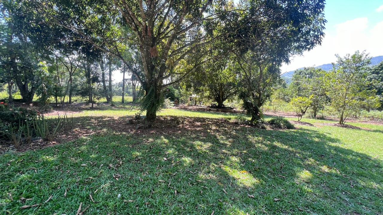 solares y terrenos - Terreno en Venta en Rancho Los Mogotes,Villa Altagracia 1