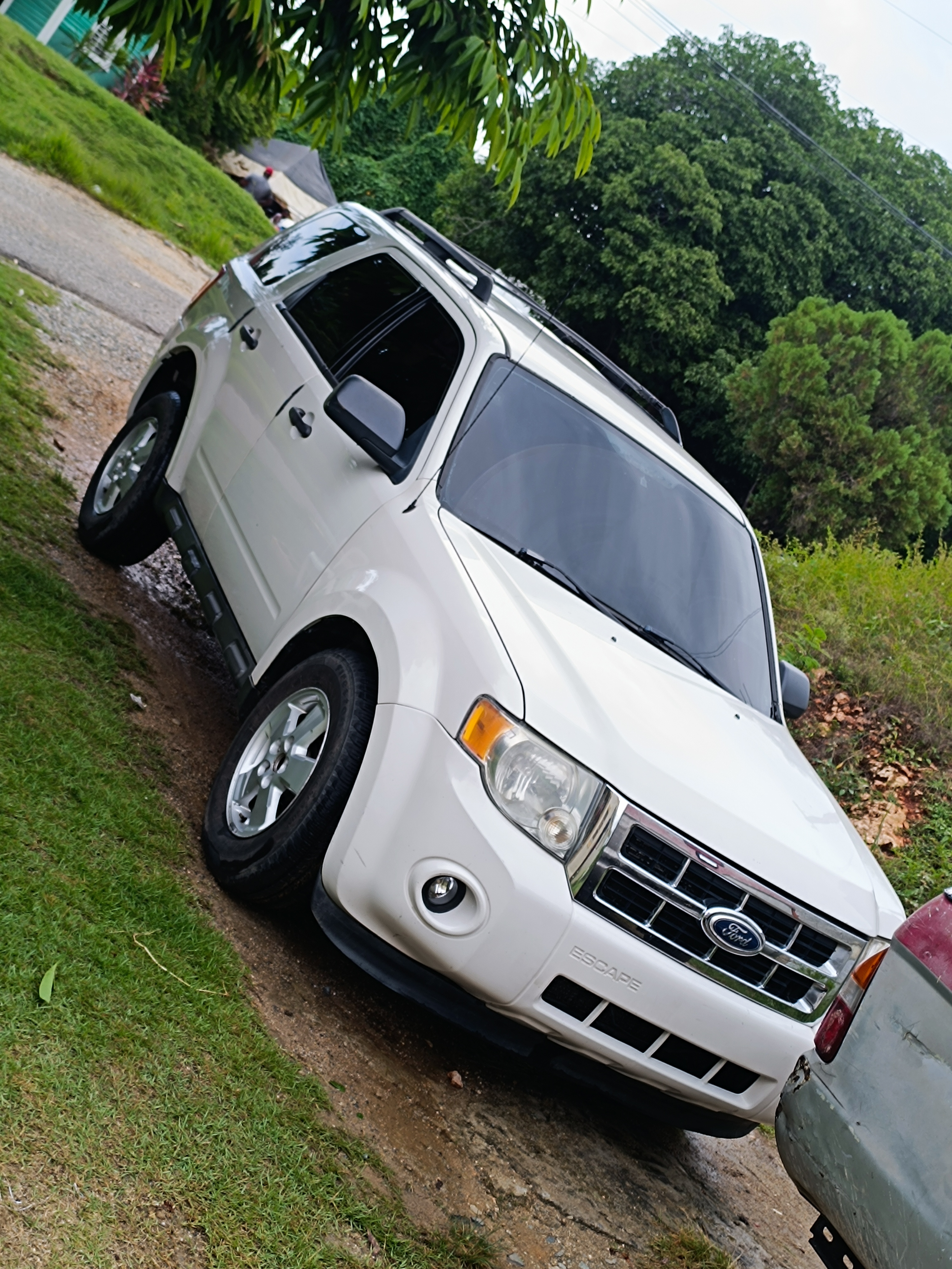 jeepetas y camionetas - Ford Escape 2010, V4. 4