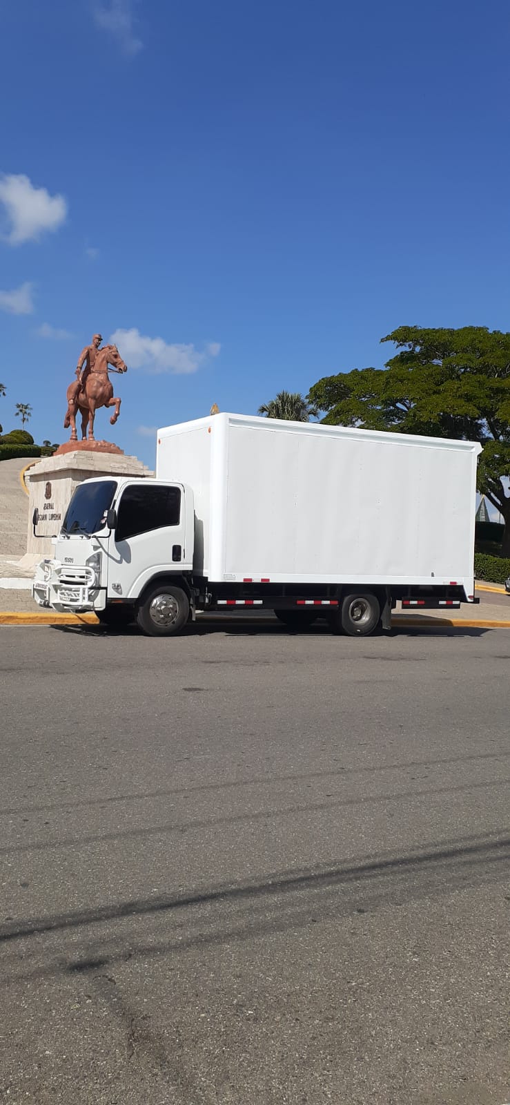 servicios profesionales - transporte pelaez cargas y mudanza en General 