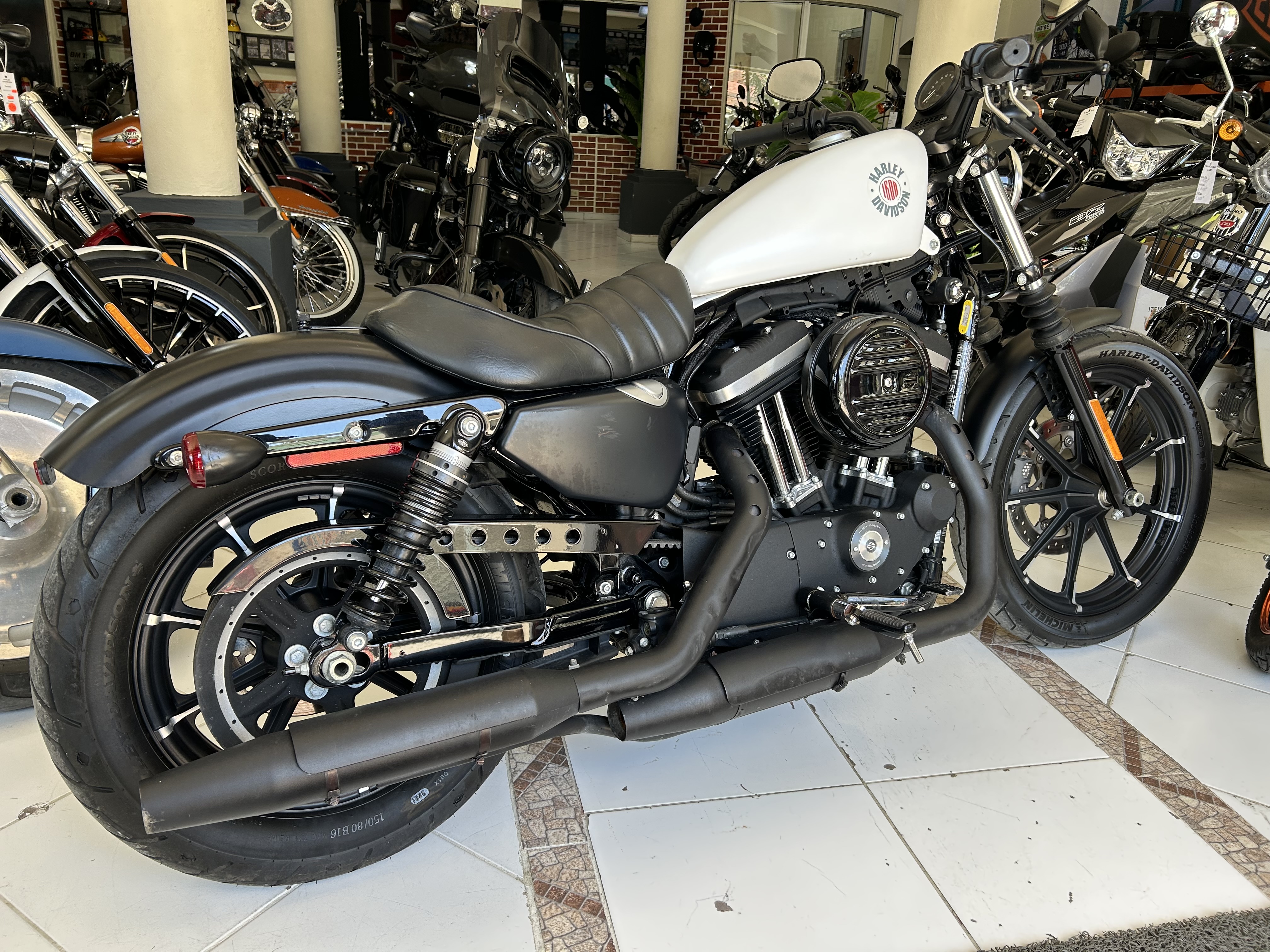 motores y pasolas - Sportster XL 883 Iron año 2022 1