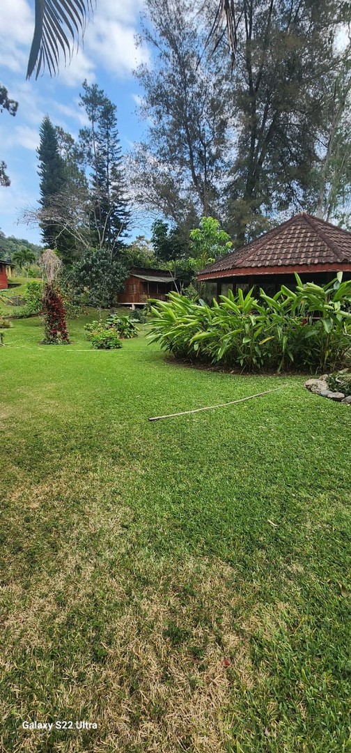 casas - EN JARABACOA:SE RENTA HERMOSA CASA CON GRAN SOLAR Y DOS CABAÑAS NO INTERMEDIARIO 3