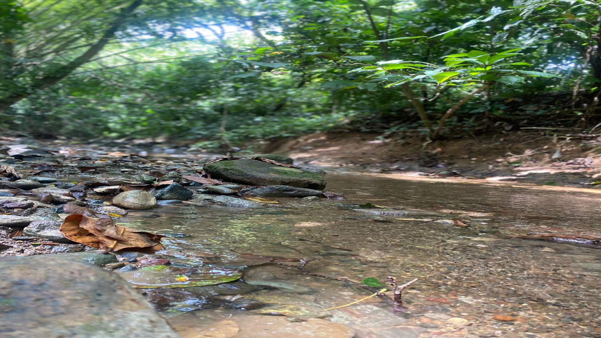 solares y terrenos - Venta de finca en San cristobal