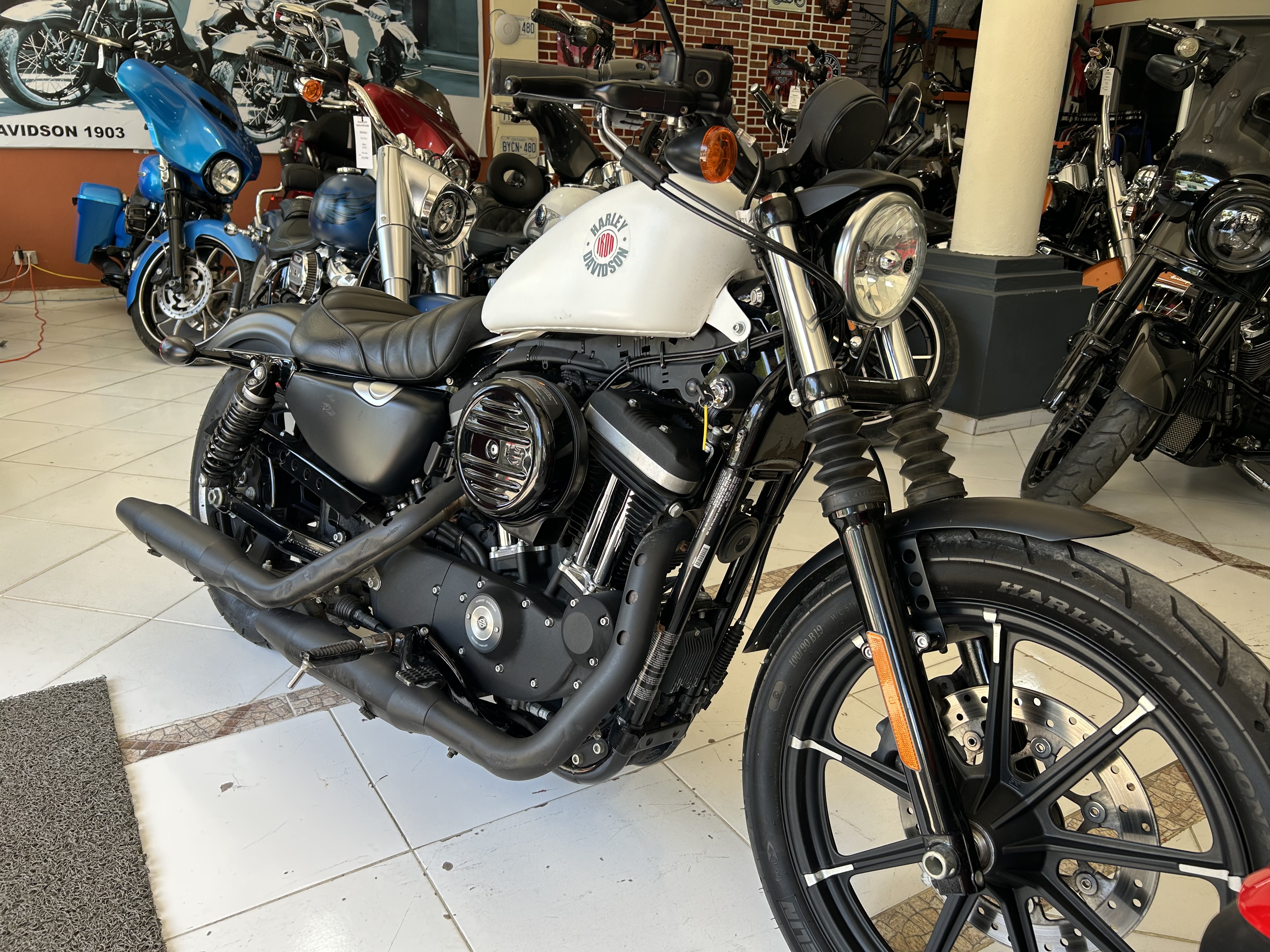 motores y pasolas - Sportster XL 883 Iron año 2022 2