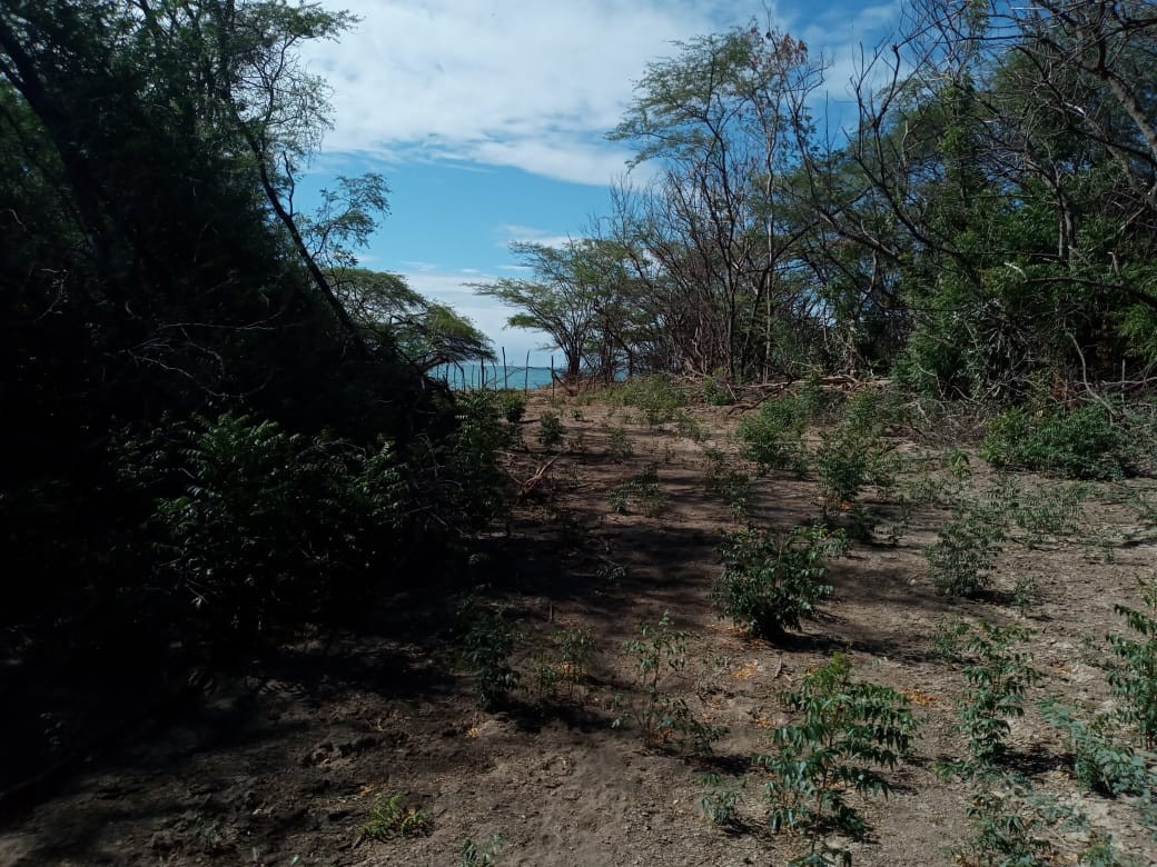 solares y terrenos - Azua, con playa, ideal desarrollo eco-turístico o de energías 5