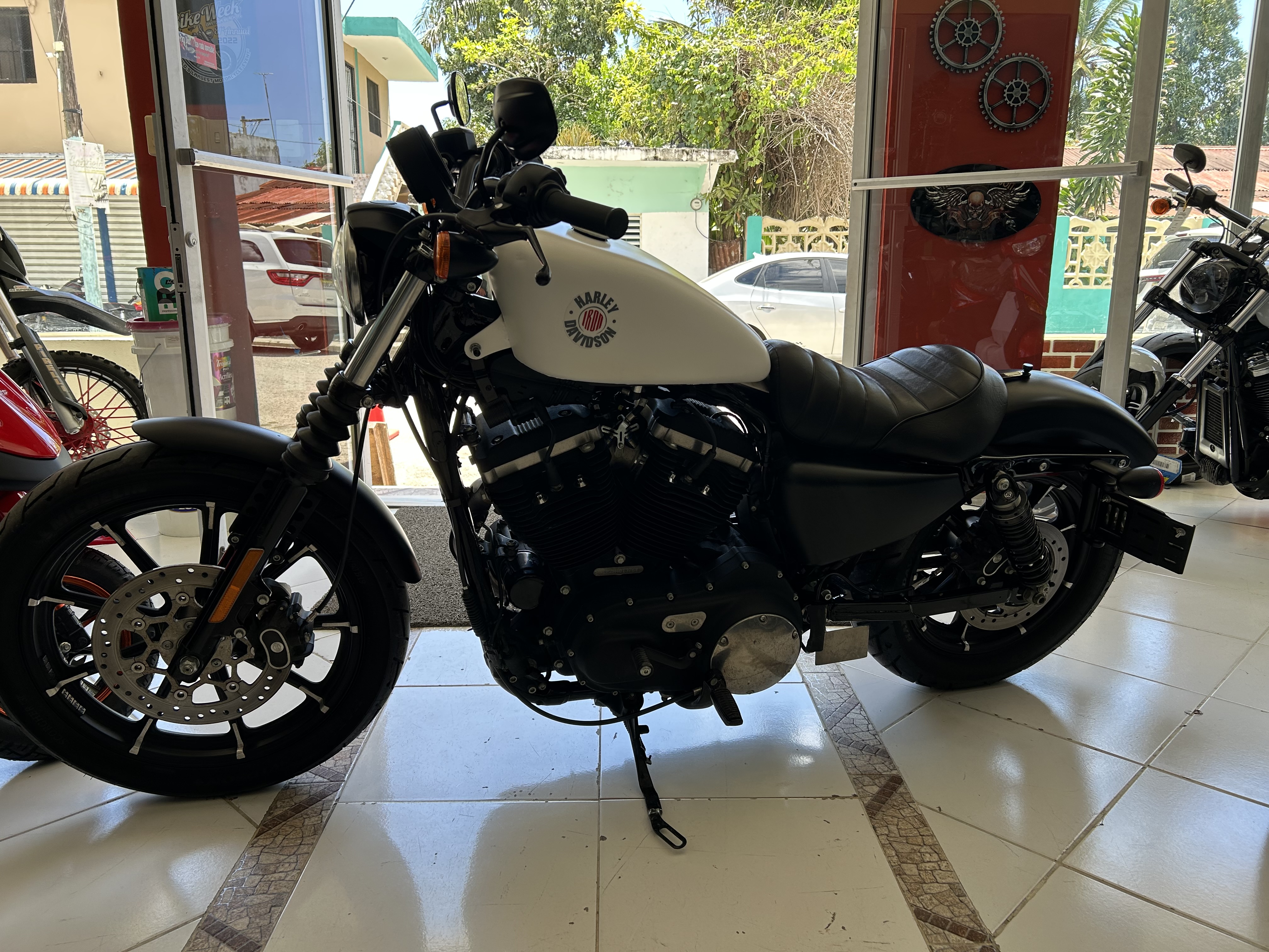 motores y pasolas - Sportster XL 883 Iron año 2022 3