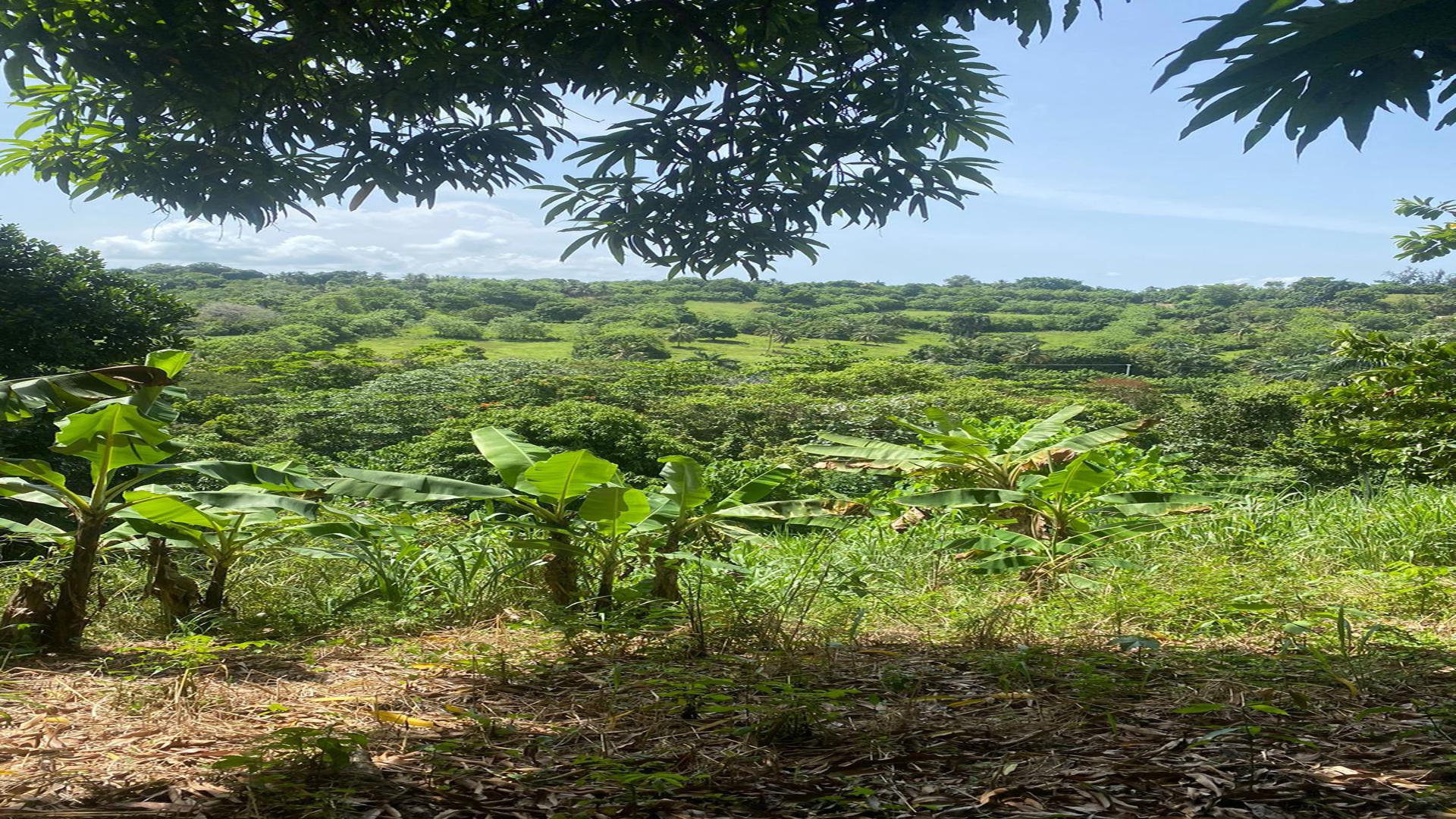 solares y terrenos - Venta de finca en San cristobal 2