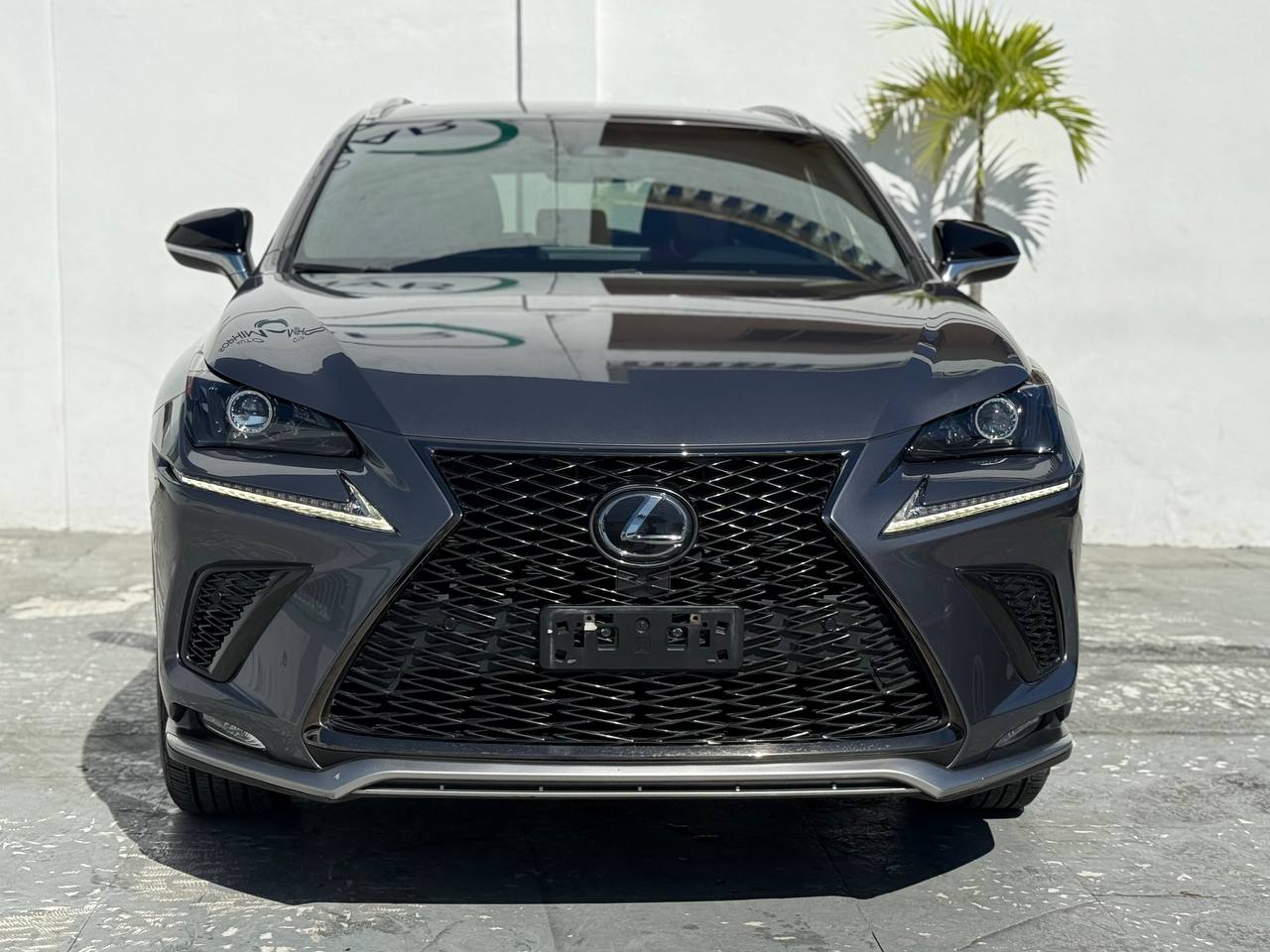 jeepetas y camionetas - LEXUS NX SPORT 300 2019  1