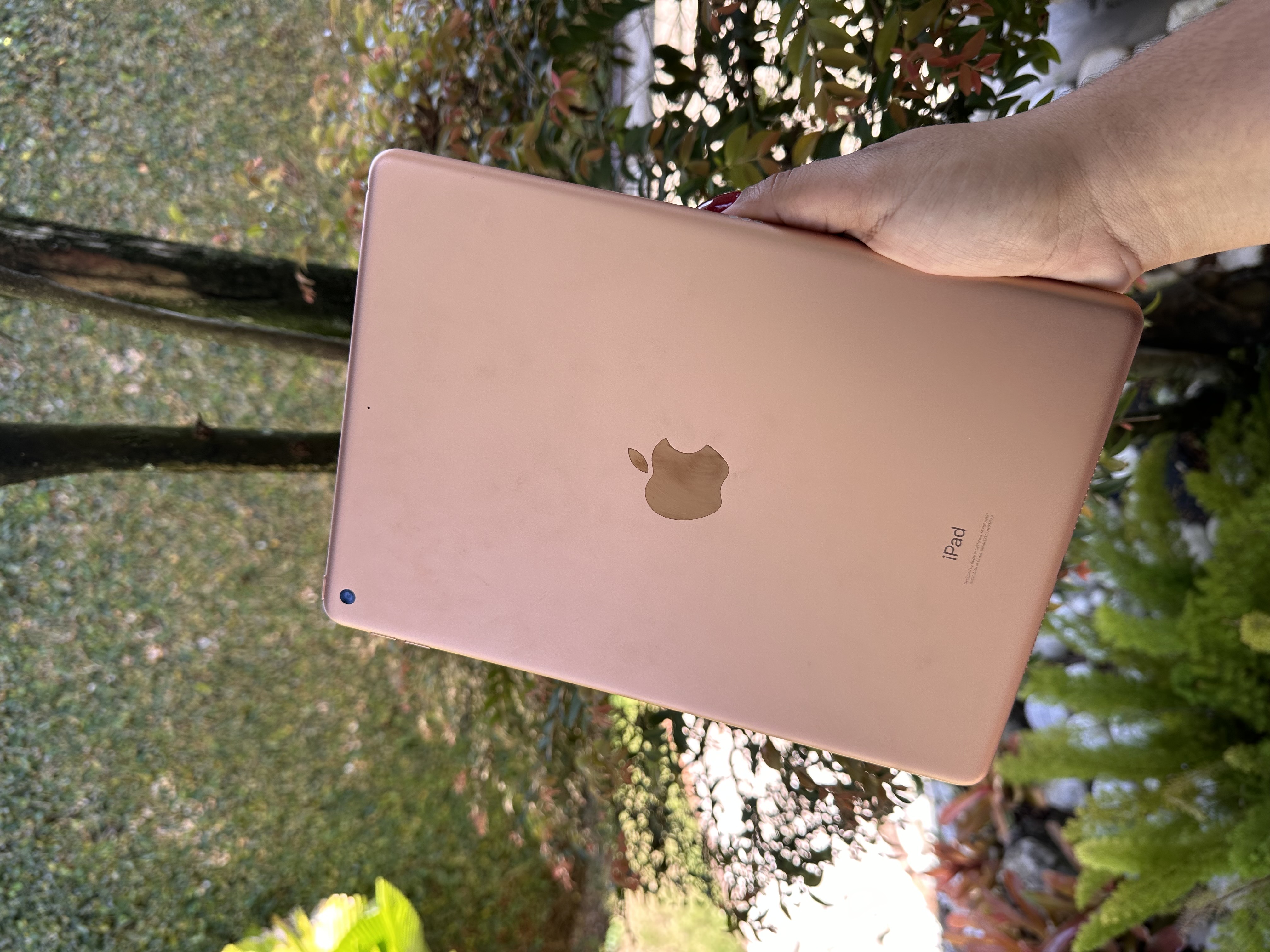 celulares y tabletas - ipad 7th generación Rose Gold - 32 GB 1