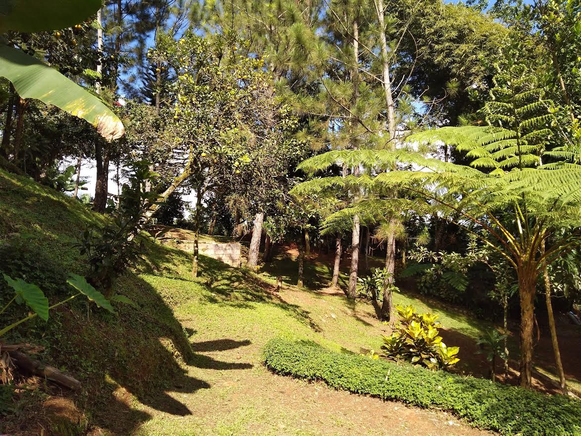 solares y terrenos - Paraíso en las montañas. Finca con título propio