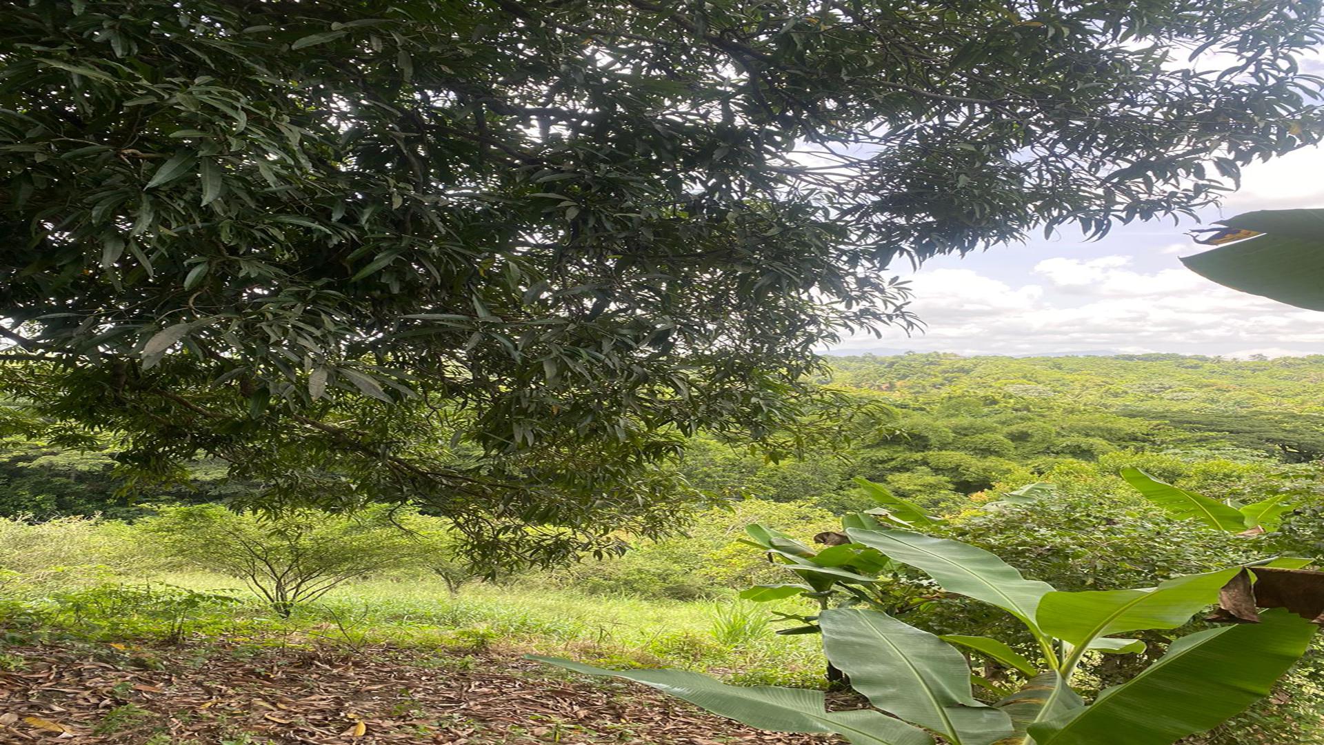 solares y terrenos - Venta de finca en San cristobal 6