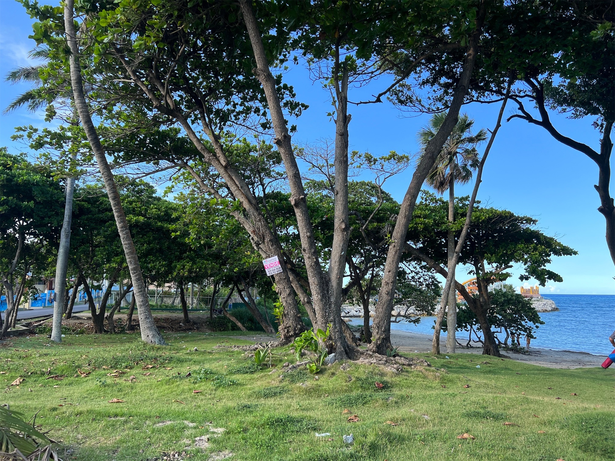 solares y terrenos - Solar para gran proyecto o casa de playa un gran paraíso 6