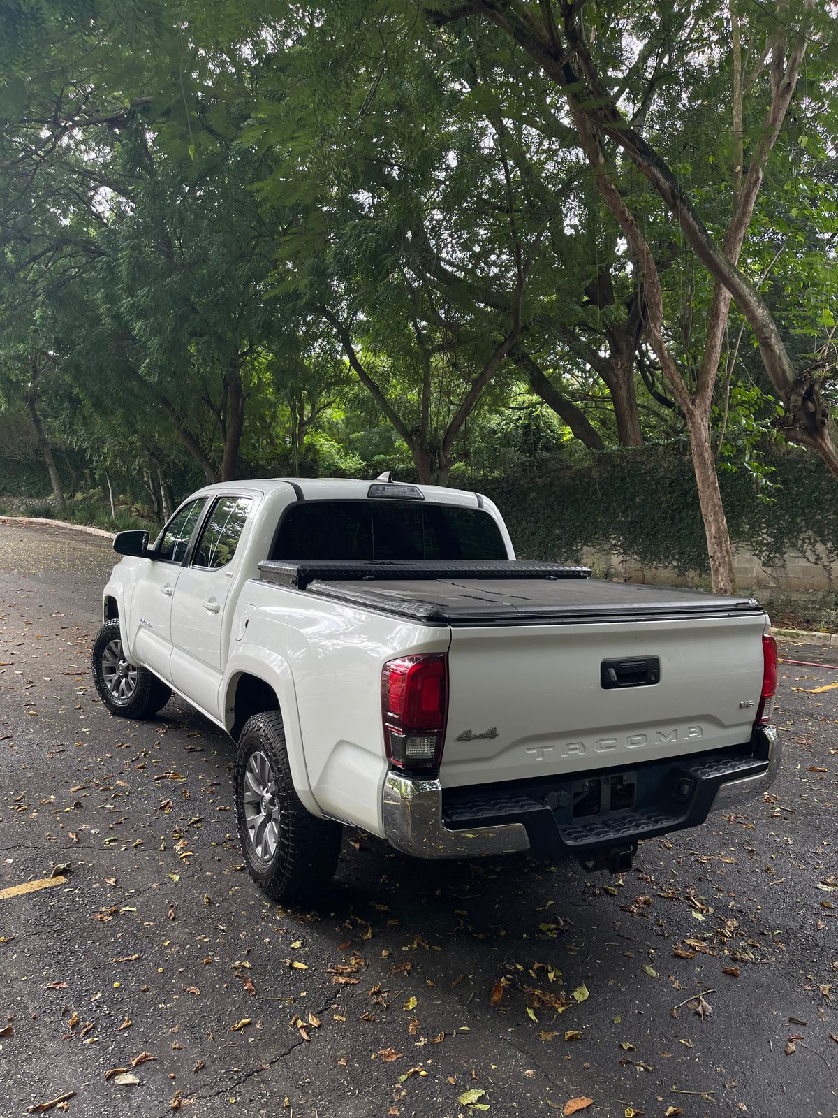 jeepetas y camionetas - Toyota tacoma 2019 3