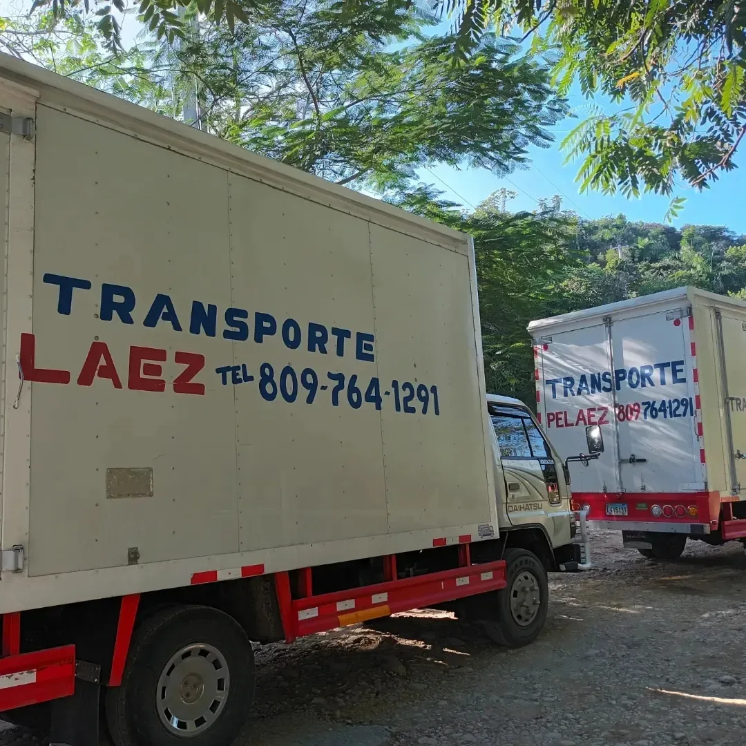 servicios profesionales - transporte pelaez cargas y mudanza 