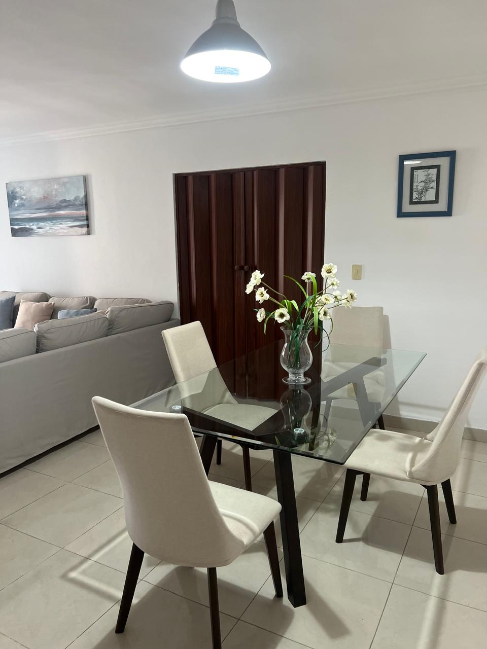 apartamentos -  Apartamento Amueblado PIANTINI 8