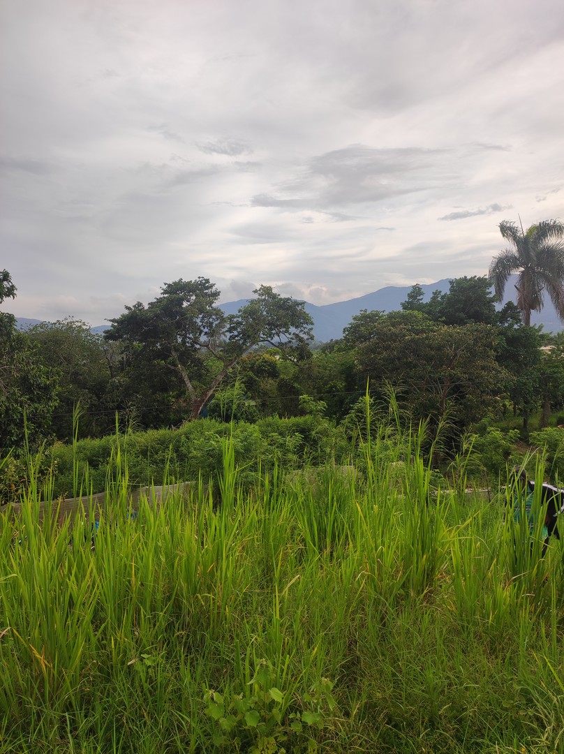 solares y terrenos - Solar en venta capacito buena vista Jarabacoa 
Agua, luz y calles asfaltadas  1