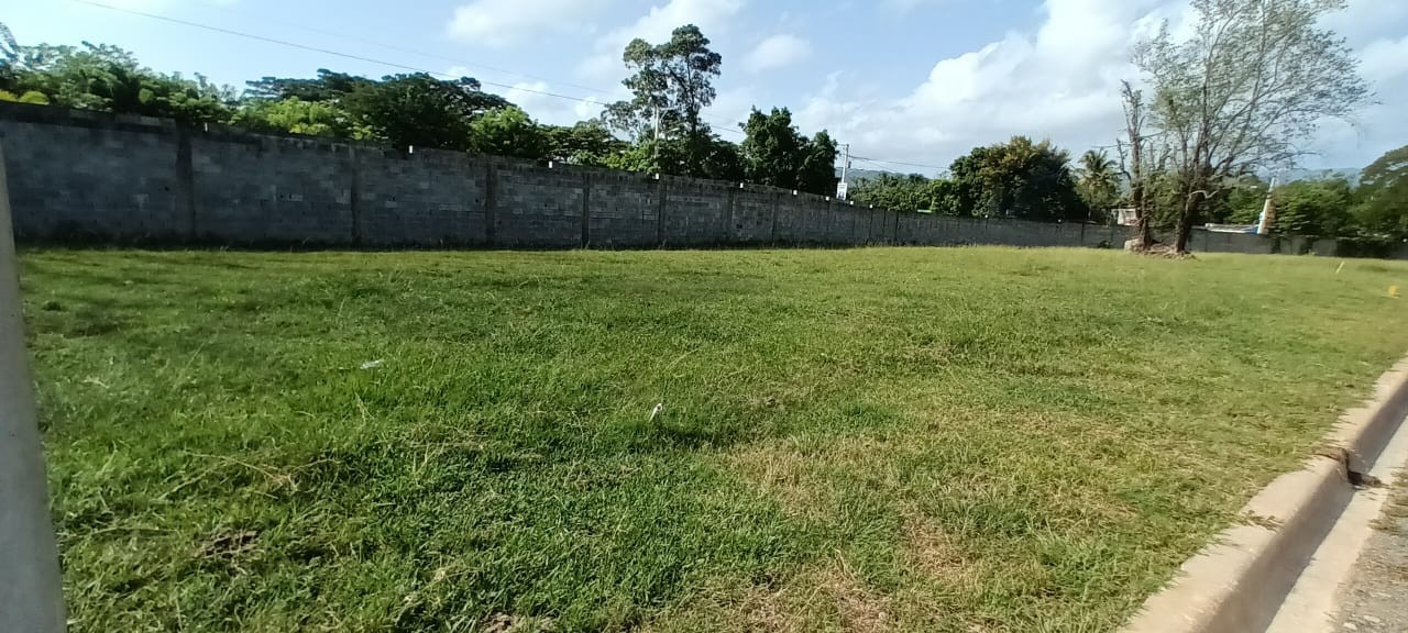 solares y terrenos - Vendo solar en Bonao, estancia el Saman. 2