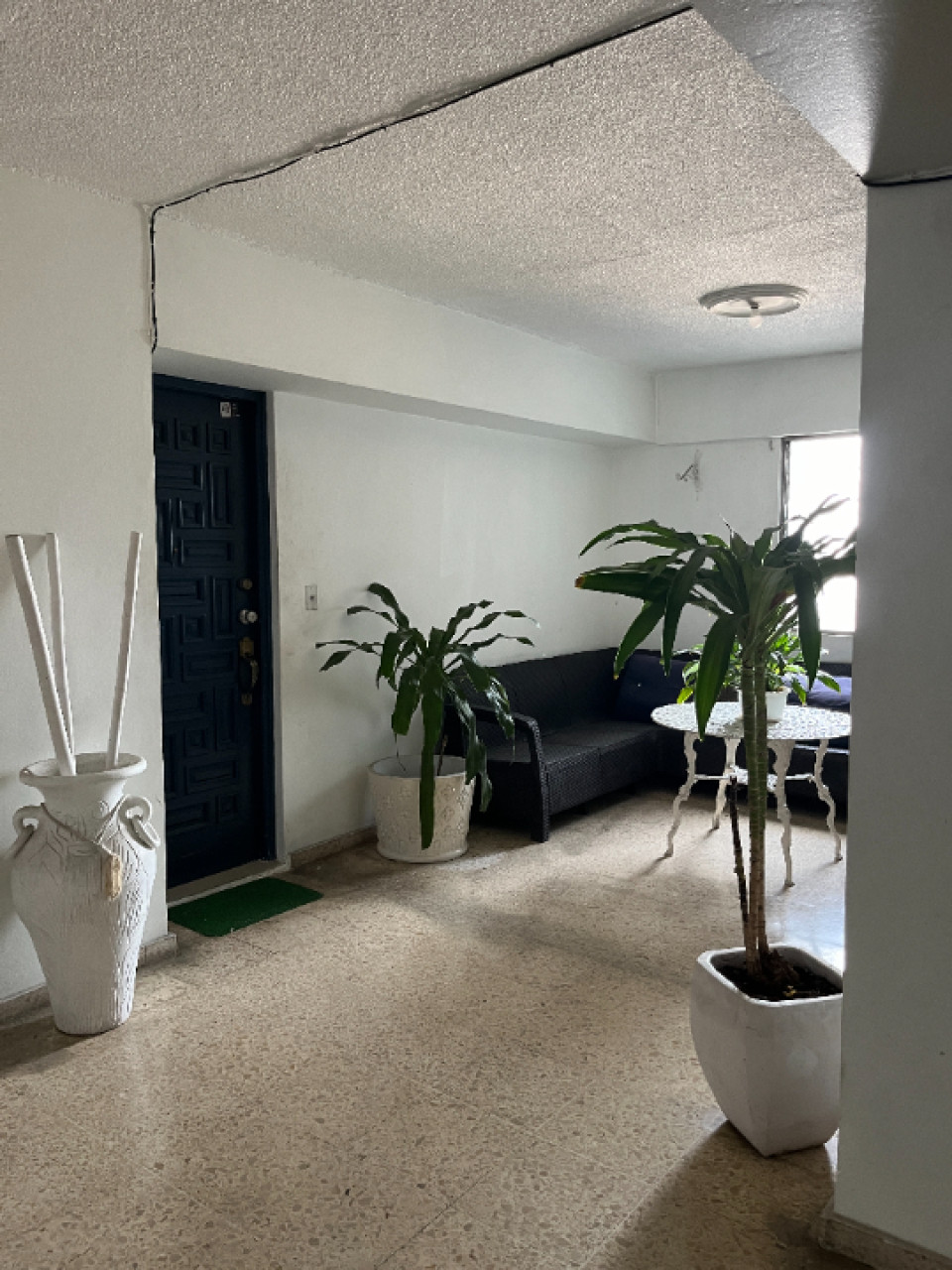 apartamentos - Apartamento en Alquiler Amueblado en PIANTINI 8