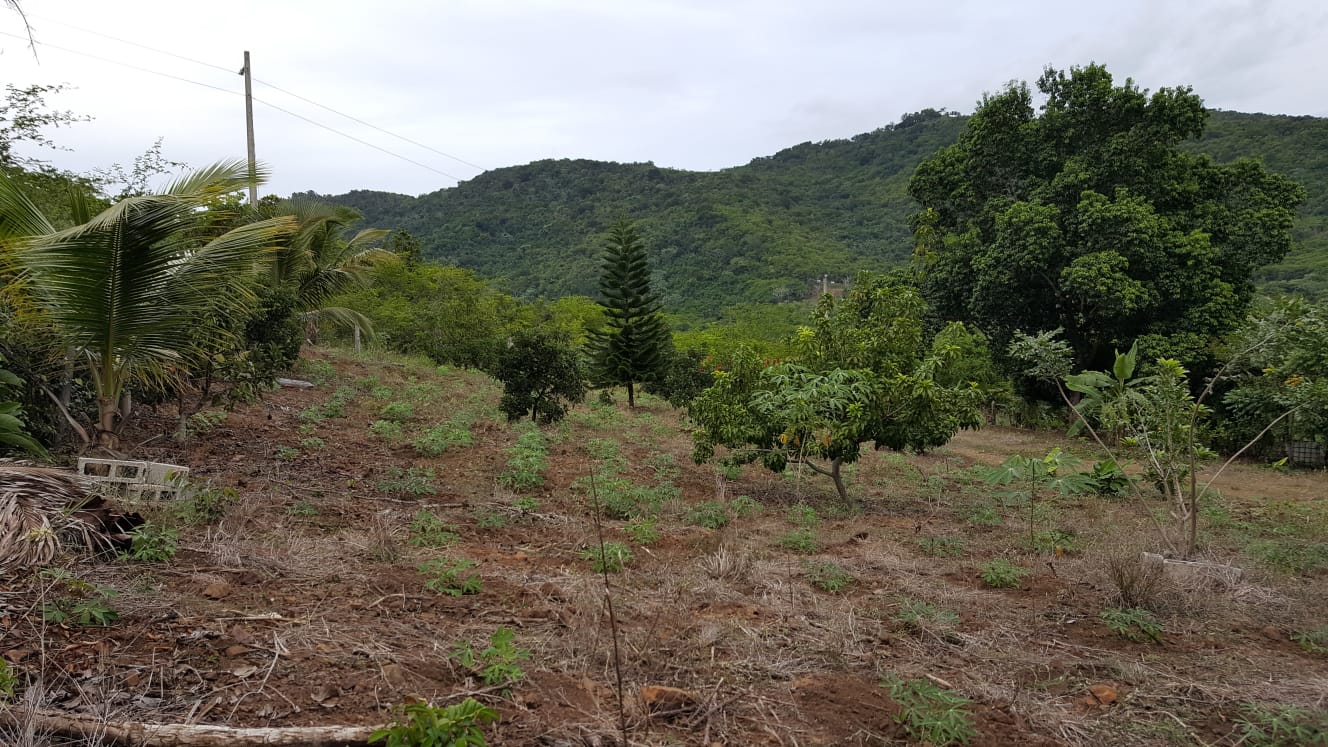 solares y terrenos - Terreno con un área de 3,700M2, Vacacional Matua.- 5