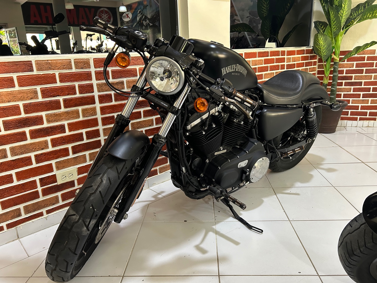 motores y pasolas - Sportster XL 883 año 2019