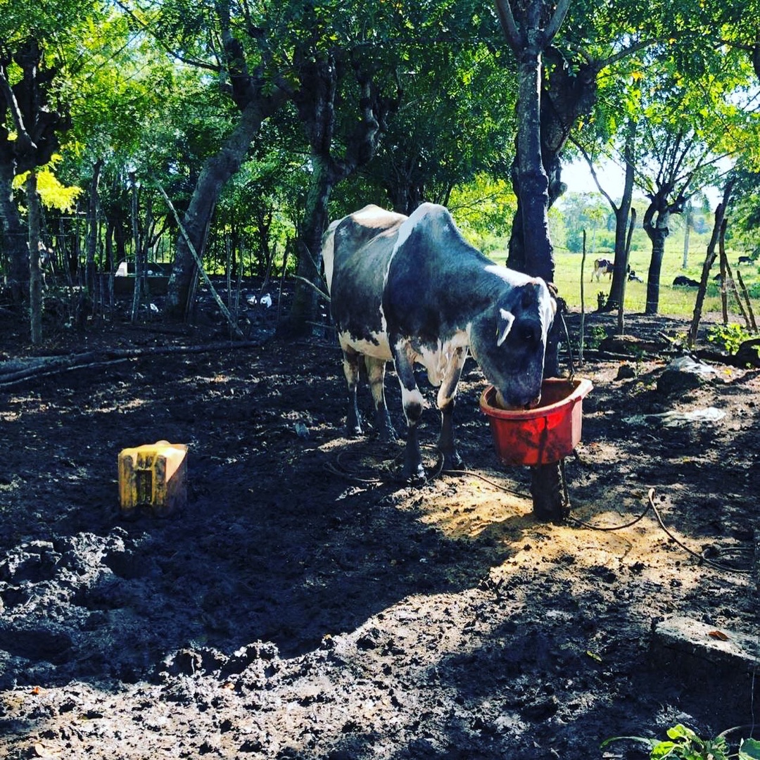 casas vacacionales y villas - Vendo finca en los llanos 1300 tareas  1