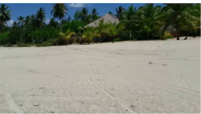 solares y terrenos - Vendo terreno en punta cana Bavaro 18,000,000 de Mts. Con más 2 Km. De playa 4