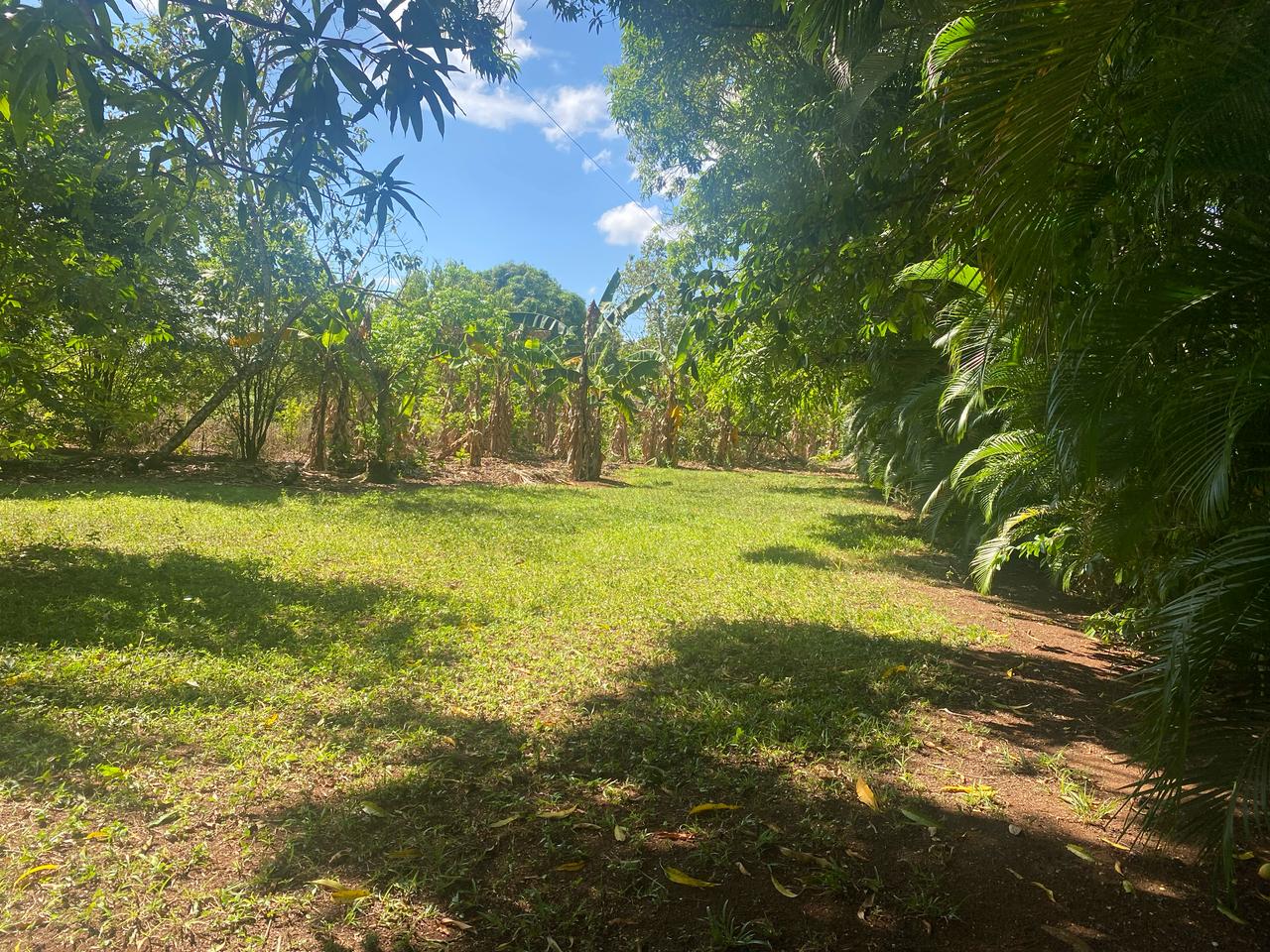 solares y terrenos - Excelente oportunidad Finca en Venta 70 Tareas  1