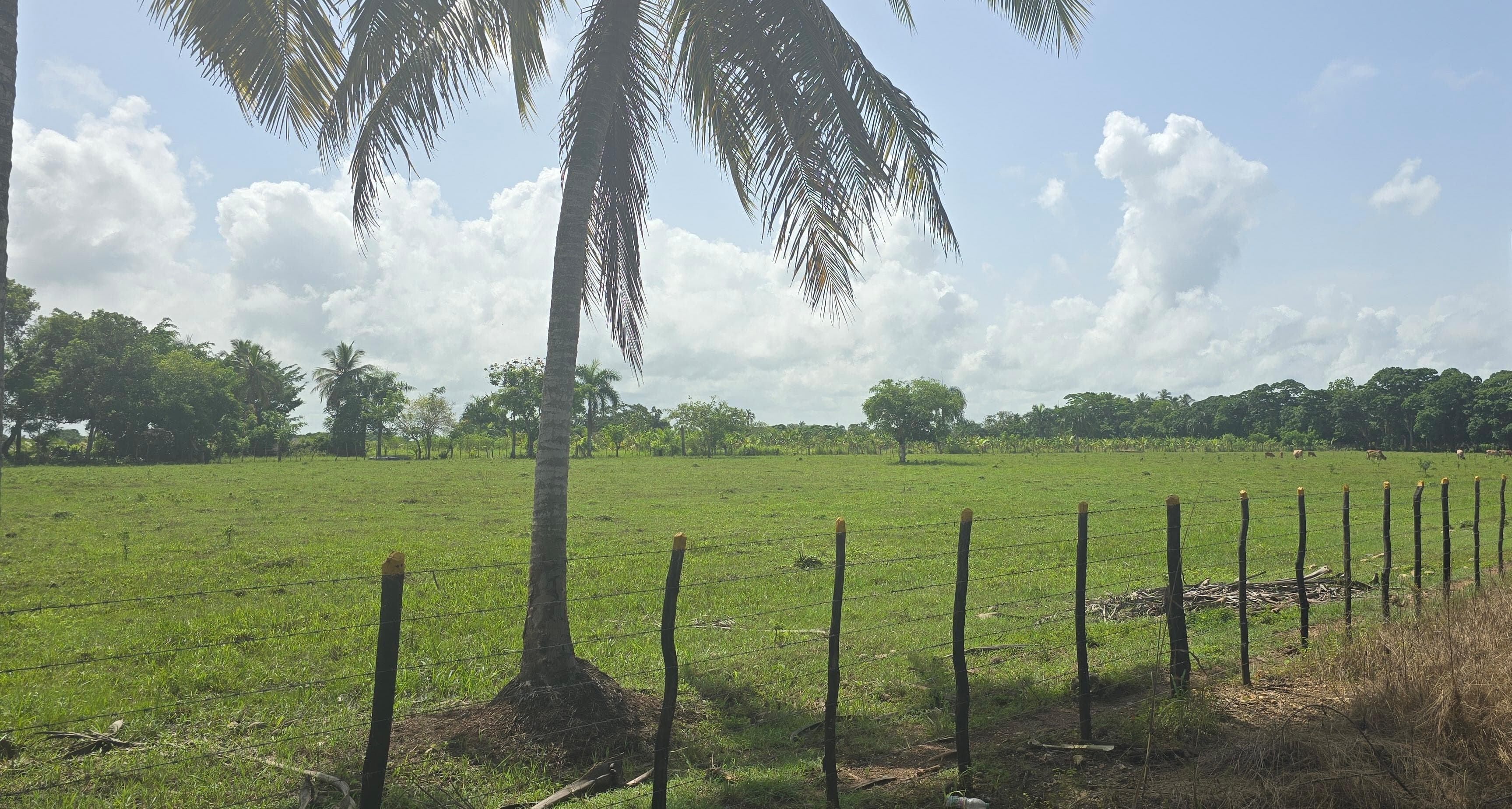 solares y terrenos - Vendo Terreno en San Cristóbal-Santo Domingo, 