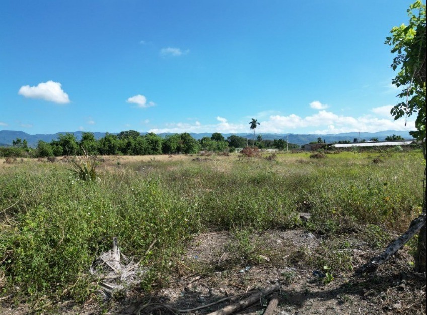 solares y terrenos - Terreno de 18,800m2 en Venta en Licey Al Medio 2