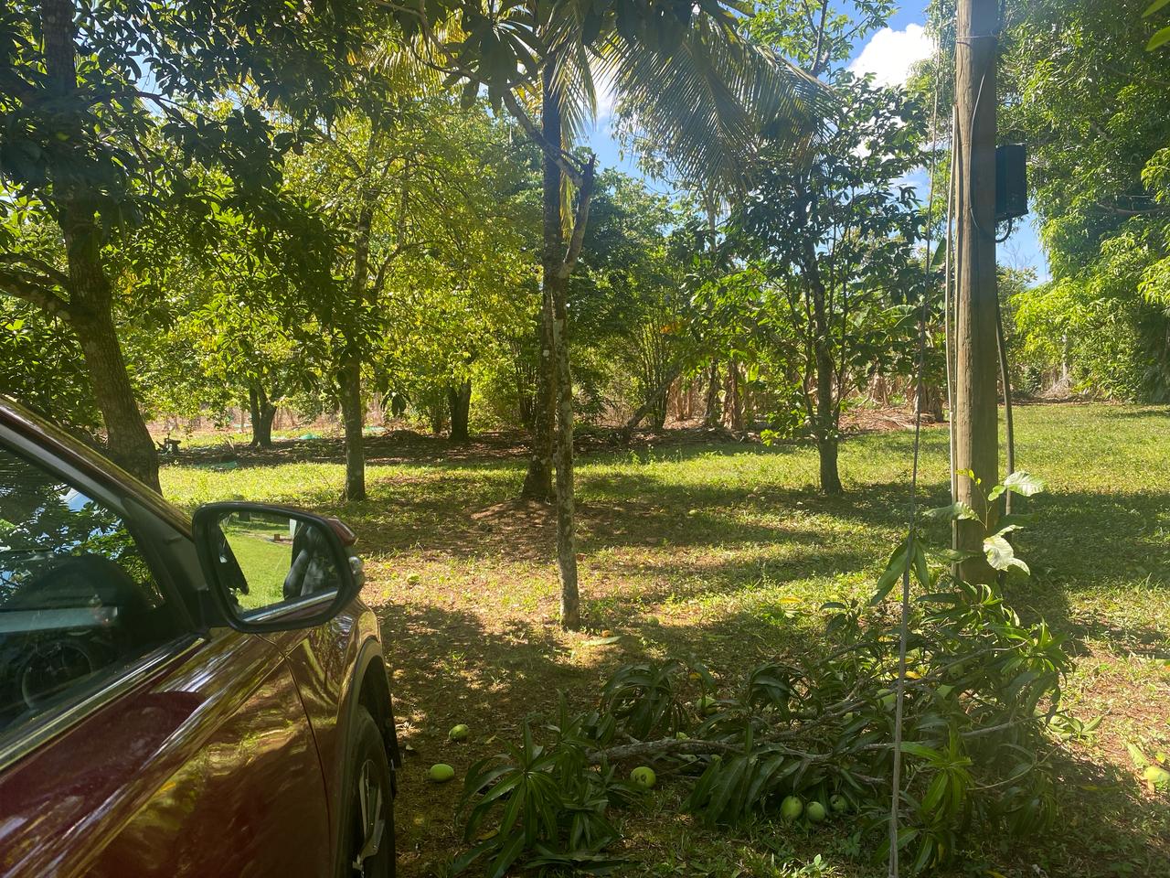 solares y terrenos - Excelente oportunidad Finca en Venta 70 Tareas  5
