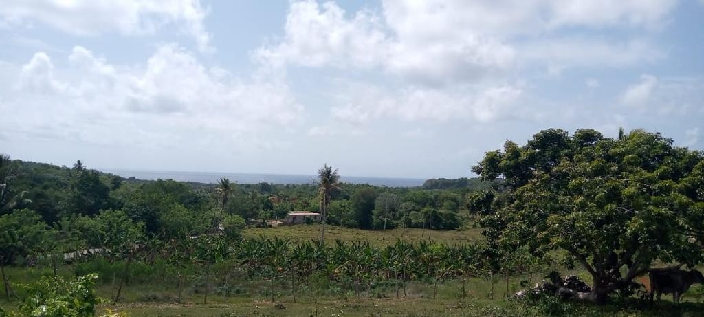 solares y terrenos - Vendo Terrenos En Samaná Por metros US25