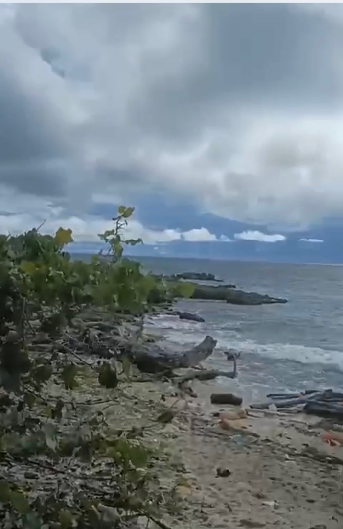 solares y terrenos - Vendo terreno en cumayasa La Romana sampedro 50,000 Mt2.  4