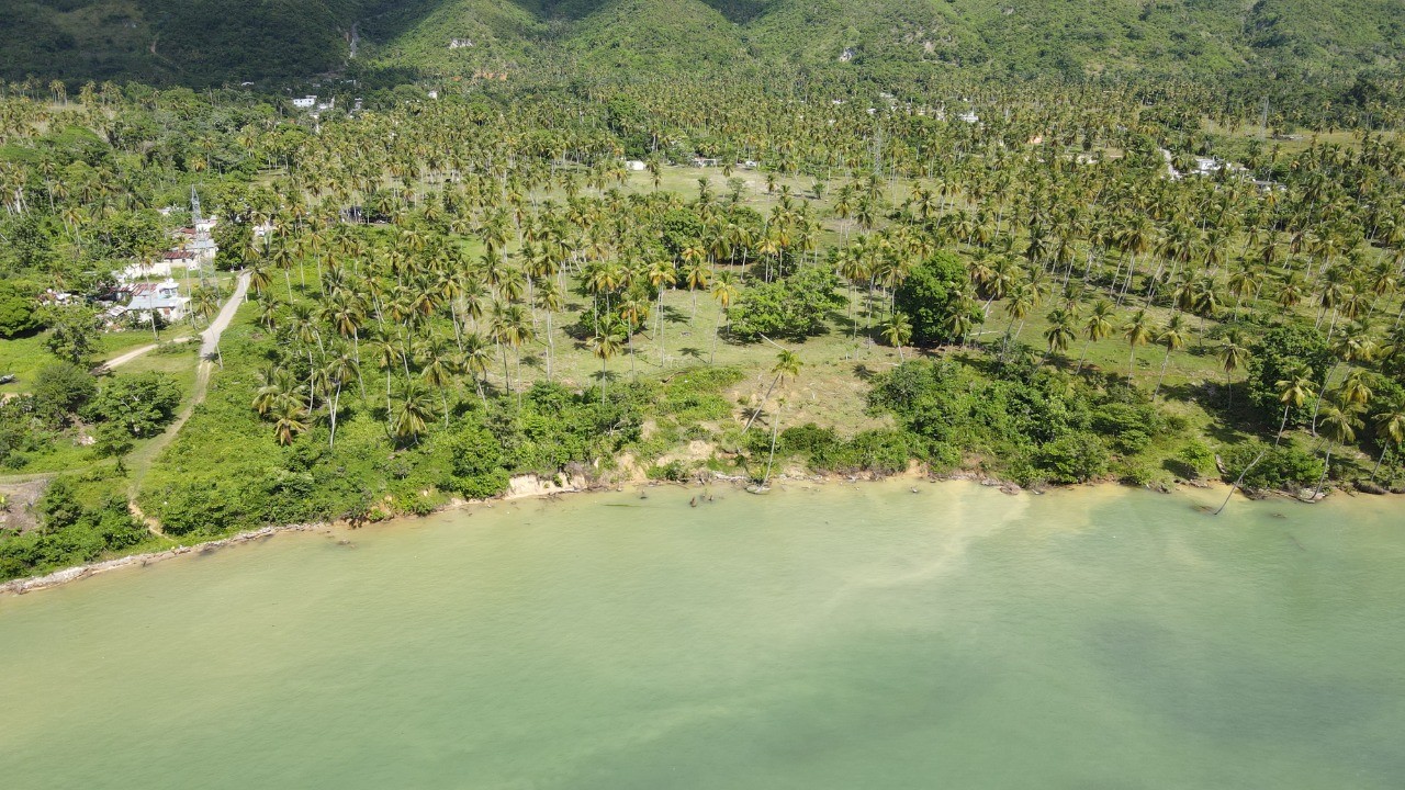 solares y terrenos - Solar 46,000 mts  Samana en Majagual