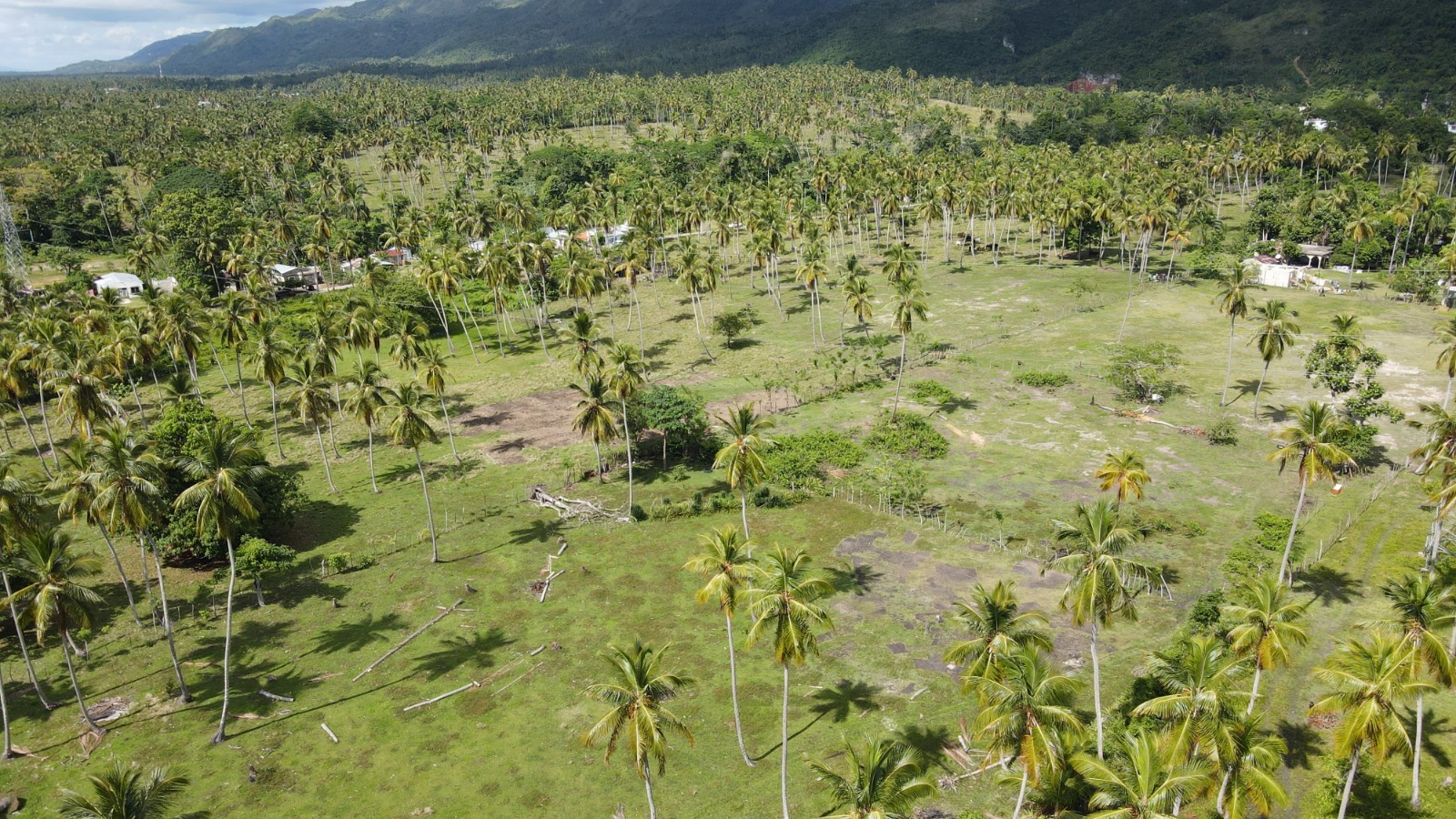 solares y terrenos - Vendo Terreno en Majagual Samaná 8