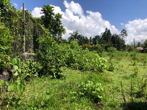 solares y terrenos - Terreno en venta en los Mogotes, villa altagracia. 4