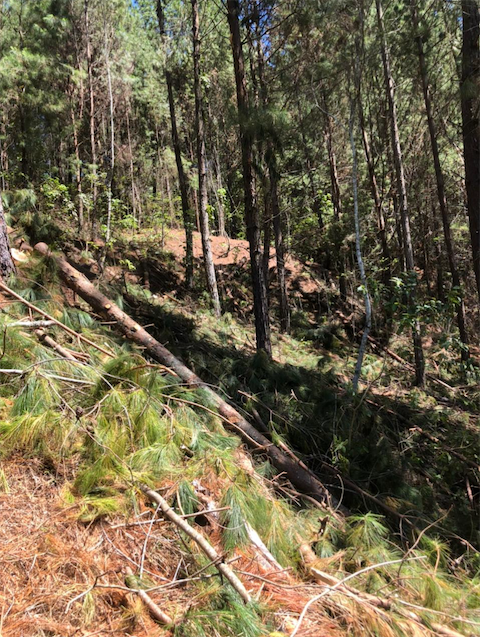 otros inmuebles - En Venta Finca El  Encanto, ubicada en el sector El Dulce, Jarabacoa, La Vega
 0