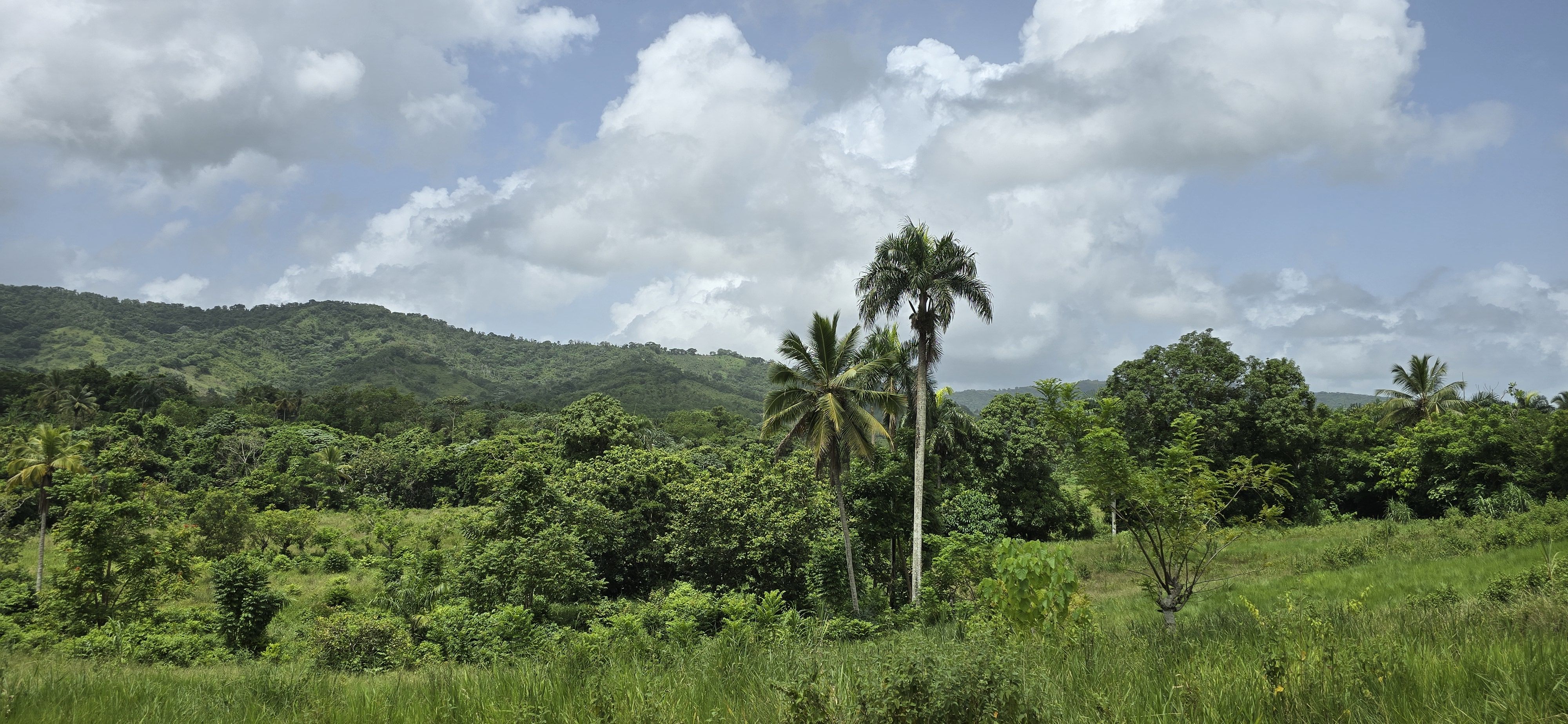 solares y terrenos - Terreno en Venta en Hato Viejo Yamasá desde 1,000 Mts, con vista hacia el Rio  8