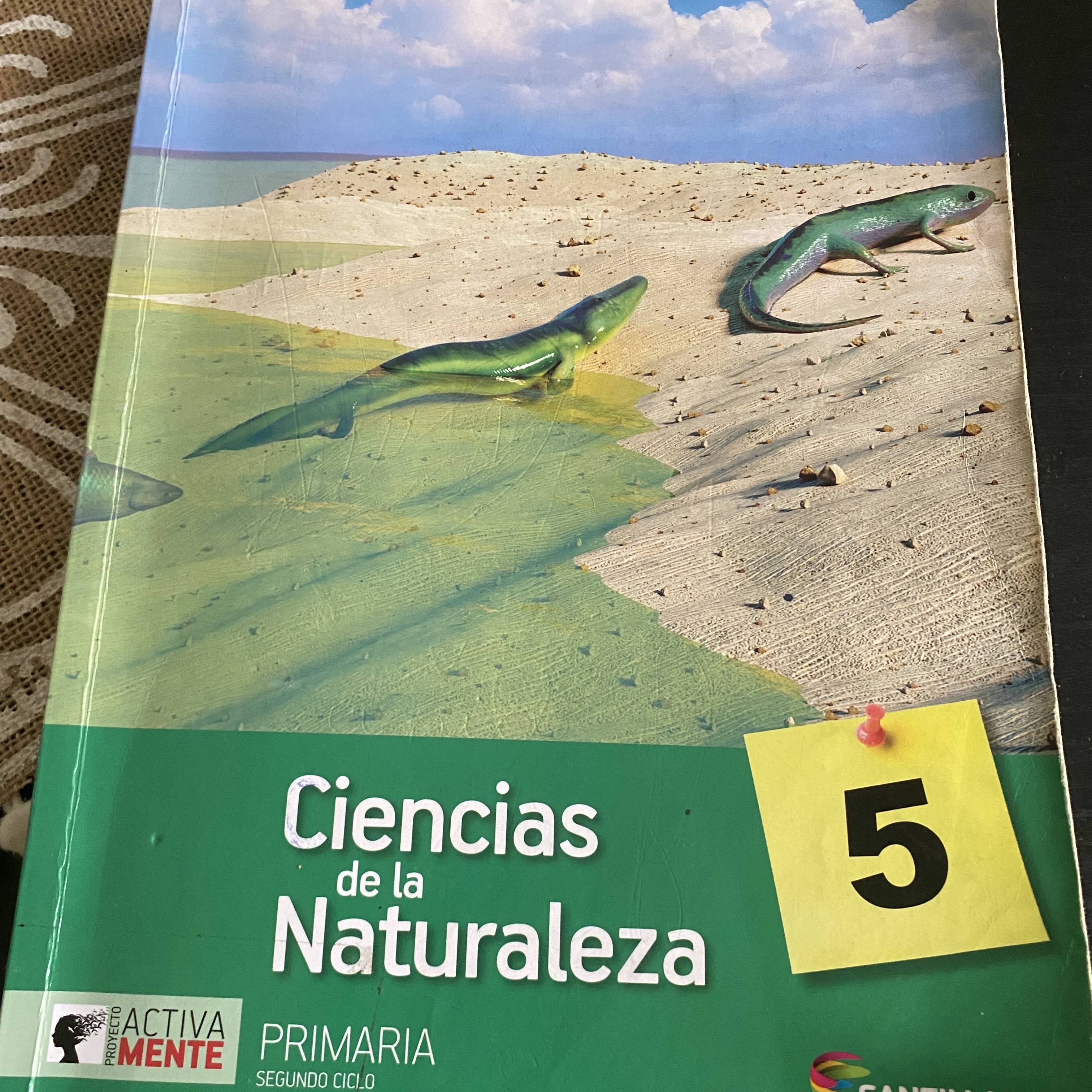 libros y revistas - Libros de 5to de Primaria