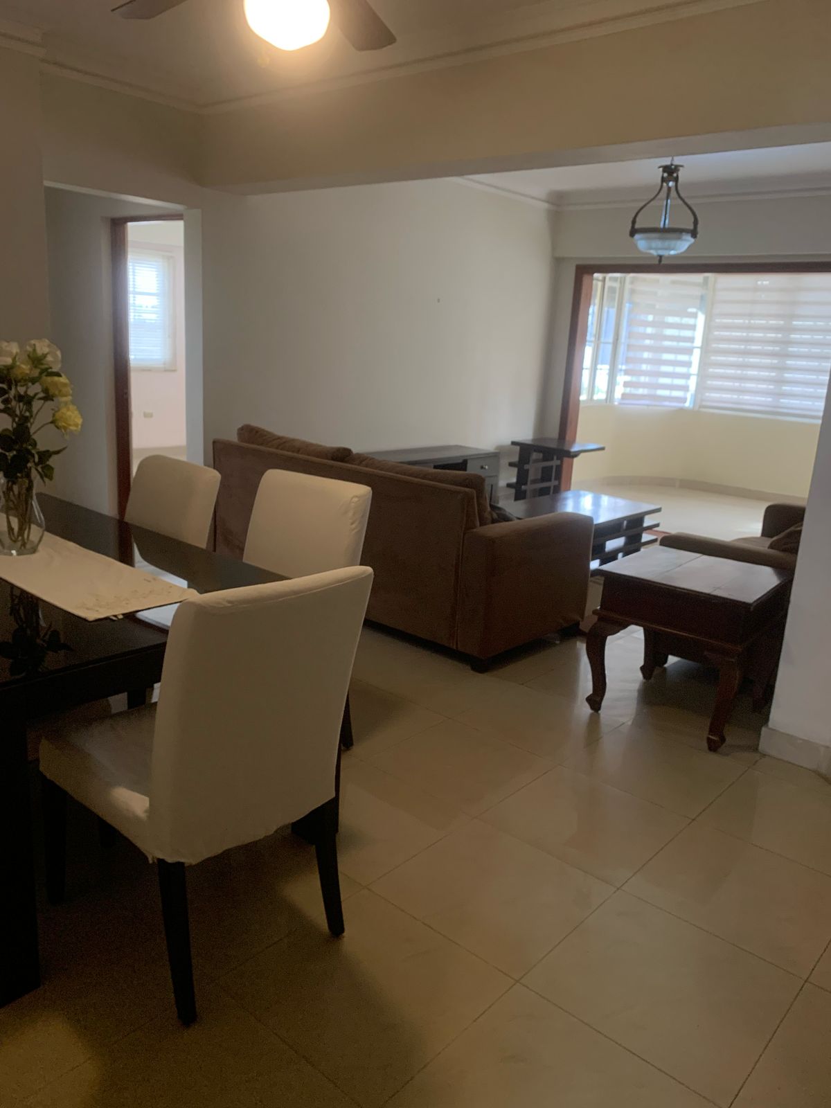 apartamentos - RENTO APARTAMENTO AMUEBLADO Y SIN AMUEBLAR EN EVARISTO MORALES  0