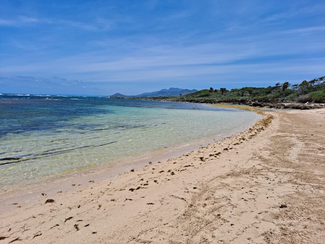 solares y terrenos - Excelente terreno con un kilómetro de playa ideal para proyecto  6