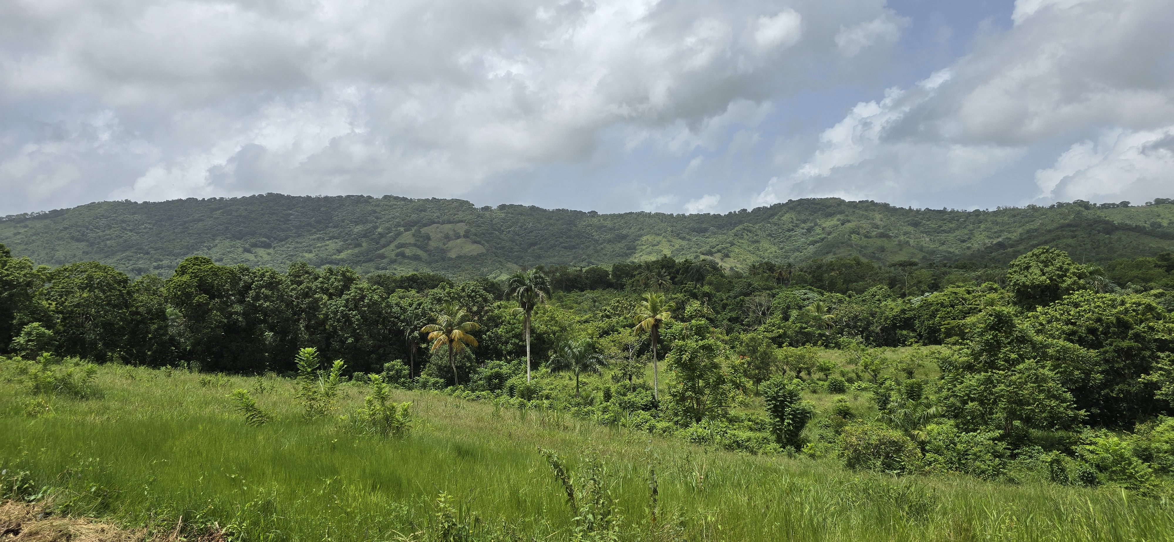 solares y terrenos - Terreno en Venta en Hato Viejo Yamasá desde 1,000 Mts, con vista hacia el Rio  6