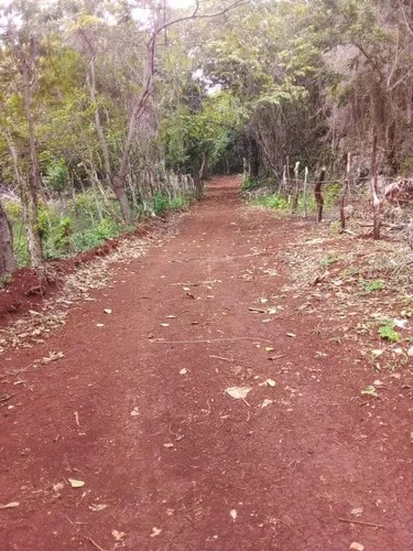 solares y terrenos - Terreno en centro ciutad de Las Galeras 8 US$ m2