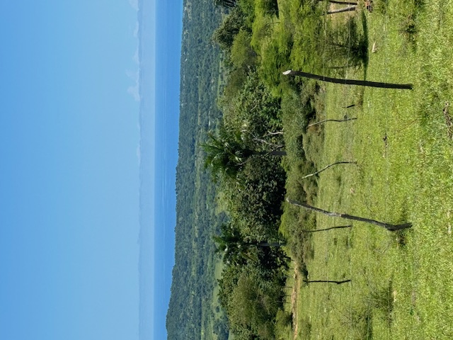 solares y terrenos - ¡Solares con vistas de más de un millón de dólares