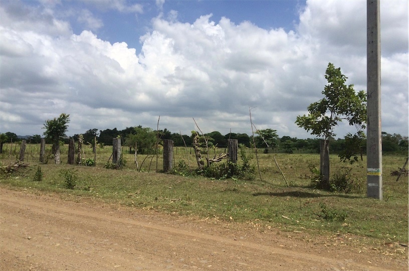 solares y terrenos - Solar en venta en La Guayiga cerca del merca 12,483m2 1
